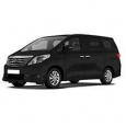 Решетки радиатора Toyota Alphard